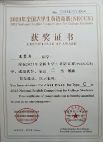 王茹男
